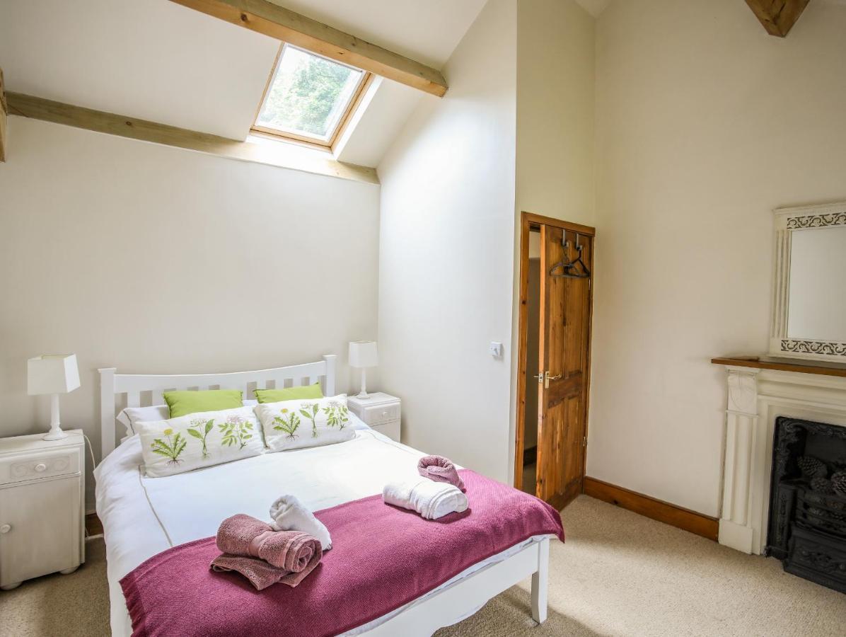Fron Fawr Holiday home