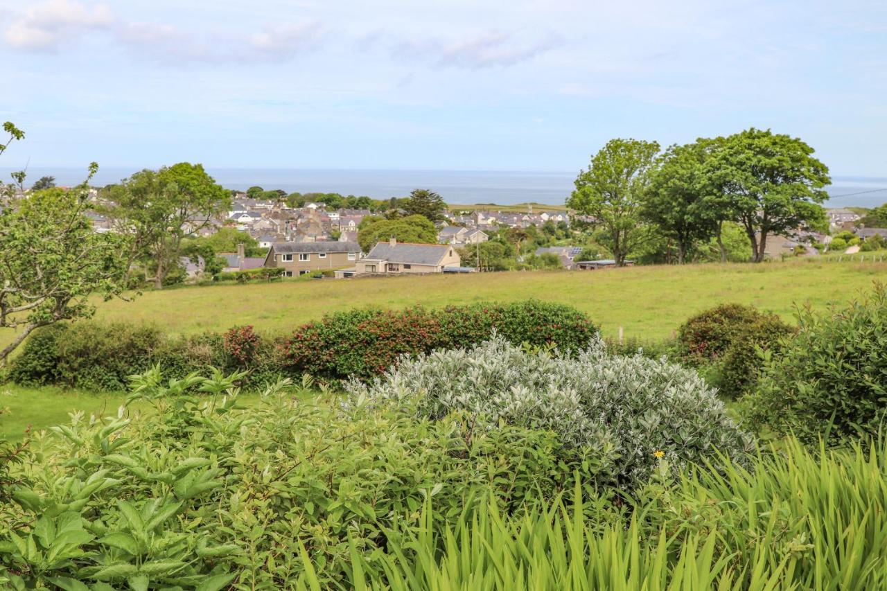 Holiday home Fron Fawr *